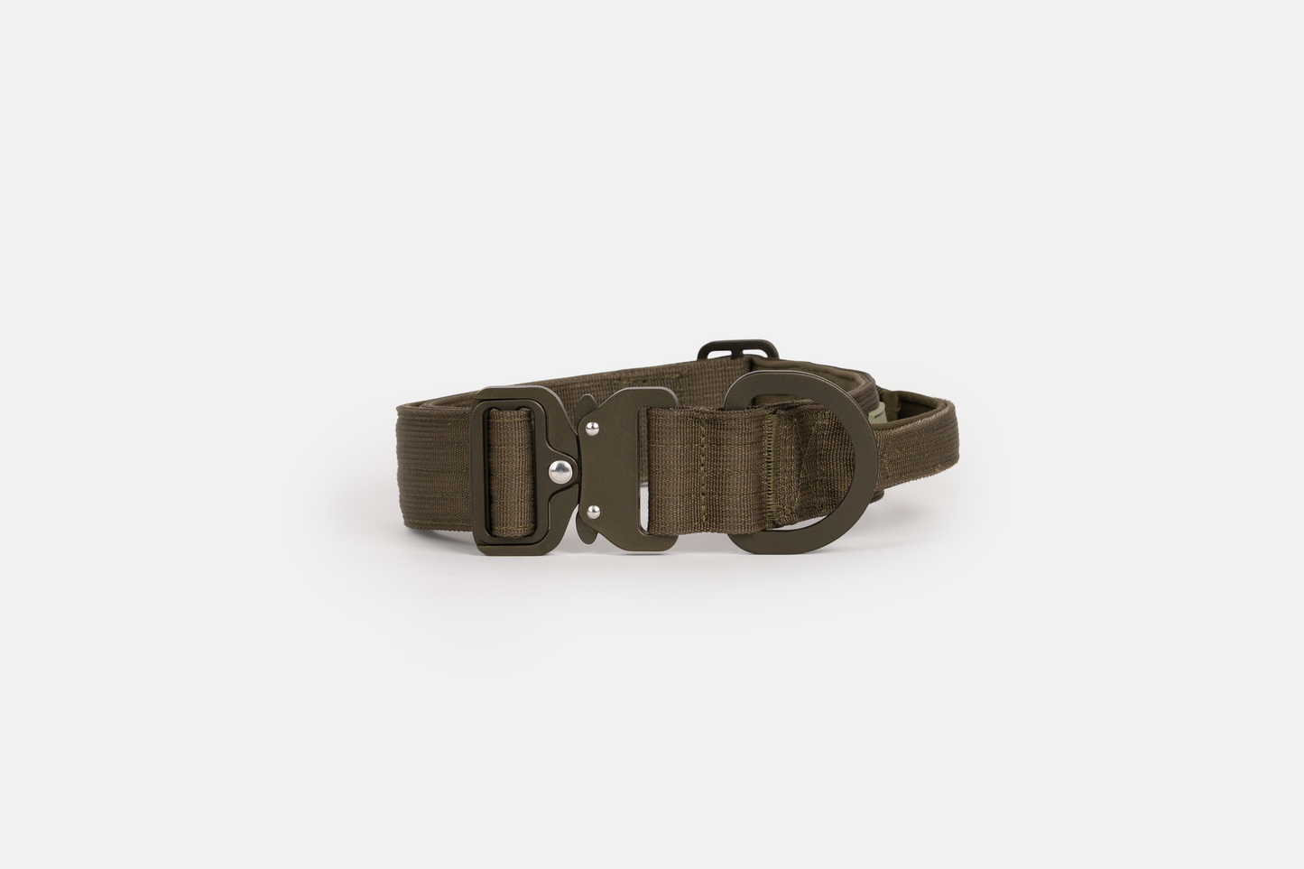 Hundehalsband - robustes Outdoor Halsband für Hunde Grün Seitlich Liegend
