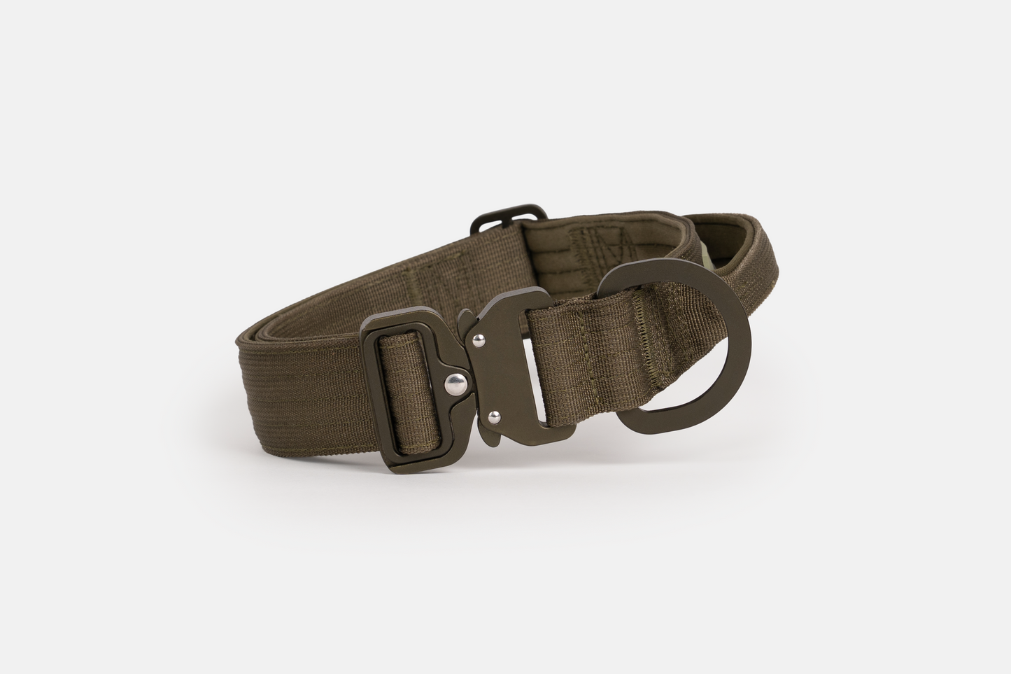 Hundehalsband - robustes Outdoor Halsband für Hunde Grün Vorne