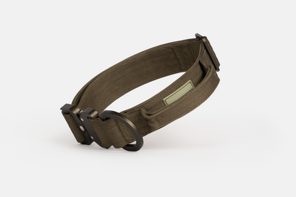 Hundehalsband - robustes Outdoor Halsband für Hunde Grün Seitlich Angehoben