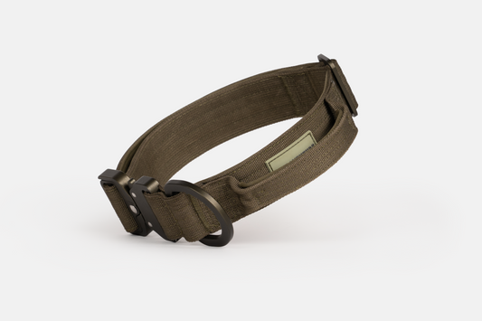 Hundehalsband - robustes Outdoor Halsband für Hunde Grün Seitlich Angehoben