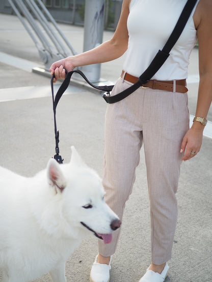 Shortleash