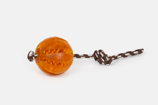 Retorn Rub Floating Dental Ball - schwimmendes Hundespielzeug, Ansicht von der Seite